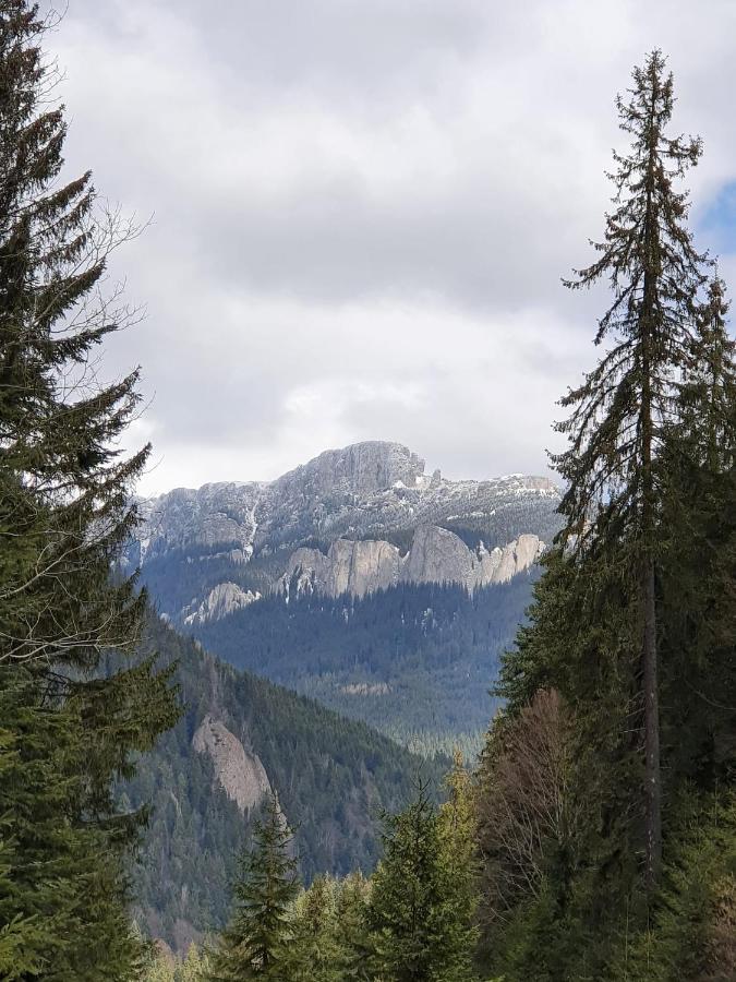 Apart Hotel Center Piatra Neamţ 外观 照片